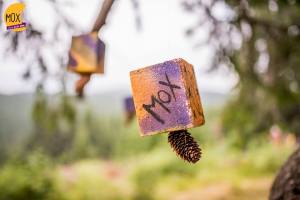 11218465_648152405321870_5880411611210375133_n