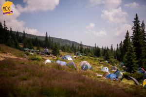 20111_648153908655053_1299545427126571470_n